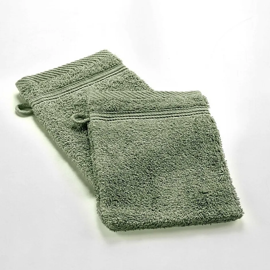 Douceur D'Intérieur 2 gants de toilette 15 x 21 cm eponge unie tendresse Fougere
