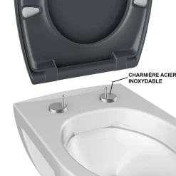 Bemis Abattant WC gris anthracite brillant Classic* Abattant Wc