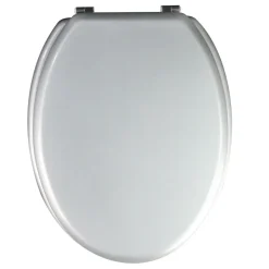 Cooke & Lewis Abattant WC Palmi gris