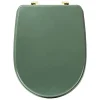 5Five Abattant WC standard coloris vert ficus, Duo* Abattant Wc