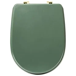 5Five Abattant WC standard coloris vert ficus, Duo* Abattant Wc