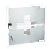MPGlass Armoire à pharmacie L.30 x H.30 x P.15 cm, acier + porte verre sablé, blanc, Siena
