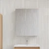 Stano Armoire de toilette bloc-miroir FORTINA largeur 60 cm chêne clair* Armoire De Toilette