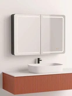 Poalgi Armoire de toilette LED aluminium MANILLONS 2p miroir l. 100 cm H. 70 cm P. 14 cm - Gan