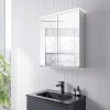 Bernstein Armoire de toilette MFC 2 portes miroirs, éclairage LED, prise de courant intérieure + 2 tablettes verre, 60x71x19cm (LxHxP), VARO