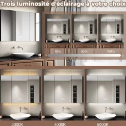 Sirhona Armoire de toilette Extra Large Miroir 90x65 cm + Grand Rangement + Température LED tricolore + Anti-buée + Prise rasoir* Armoire De Toilette