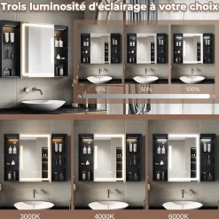 Sirhona Armoire de toilette Grand Rangement 60x75 cm + Interrupteur tactile + Température LED tricolore + Anti-buée + Prise rasoir