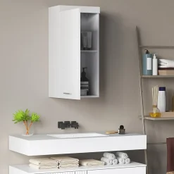 ProximaX Armoire murale blanche avec porte, meuble salle de bain et cuisine à 2 étagères, armoire à pharmacie 37,2x24,5x76,8 cm