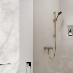 Hansgrohe Barre de douche Unica S Puro 65 cm avec flexible Bronze brossé