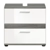 Xonox Blake - Meuble sous-lavabo en mélaminé blanc et argenté (L/H/P : 60x57x34 cm)