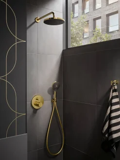 Duravit Bras de tête de douche en laiton, Barre de douche fixation murale 41cm (sans tête de douche) - Or poli