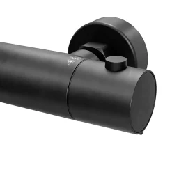 GoodHome Colonne de bain/douche thermostatique avec pommeau, douchette 3 jets, flexible, barre réglable, noir, Anika