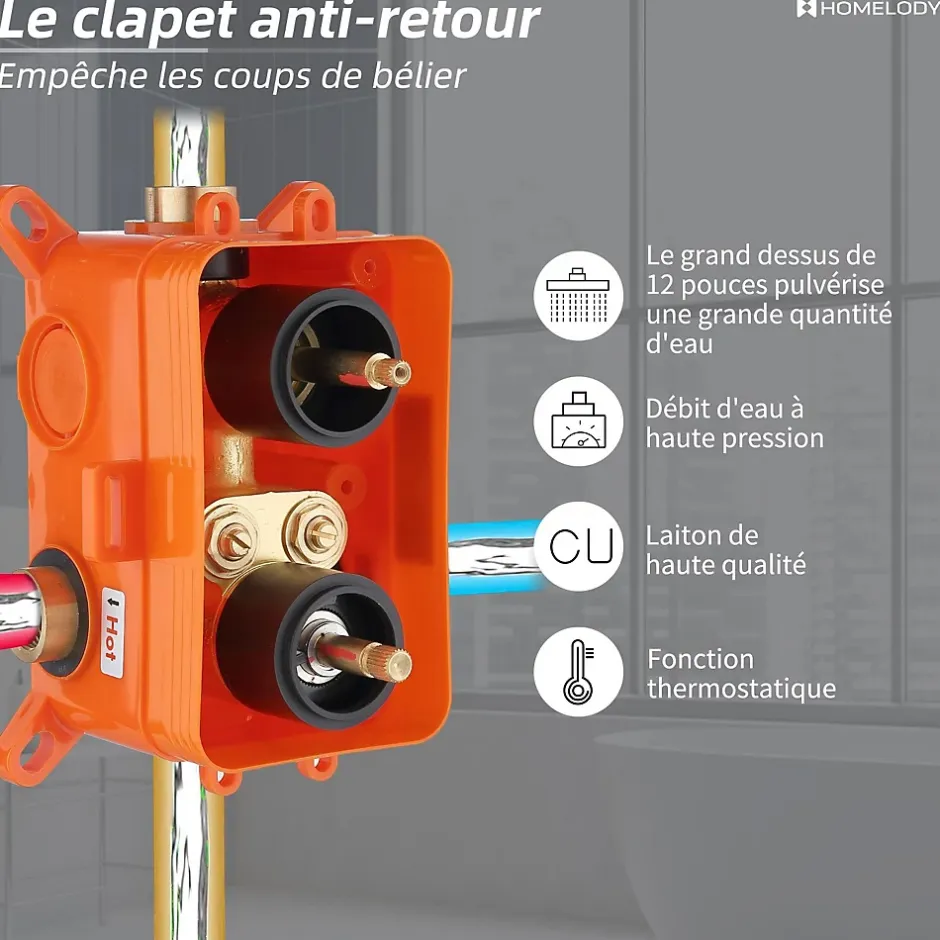Homelody Colonne de Douche Encastrée Noir Système de Douche Thermostat en Laiton avec Tête de Douche Carrée 30x30CM