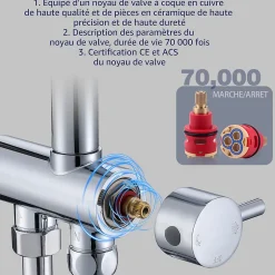 Homelody Colonne de Douche sans Robinetterie Murale Hydromassante avec Douchette et Pommeau de Douche Chromé