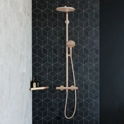 Hansgrohe Colonne de douche thermostatique Croma Select S 280 Bronze brossée + nettoyant Briochin* Colonne De Douche Thermostatique