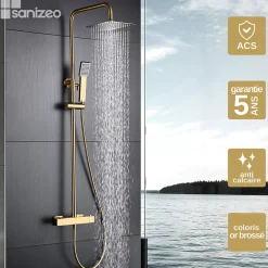 Imex Colonne de Douche Thermostatique Anti-Calcaire Or Brossé ART BTAR025/OC