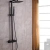 Bernstein Colonne de douche thermostatique murale laiton sans tête de douche - Noir mat - 110x15cm - SEDAL 8921B Sans tête (de douche)