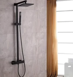 Bernstein Colonne de douche thermostatique murale laiton sans tête de douche - Noir mat - 110x15cm - SEDAL 8921B Sans tête (de douche)