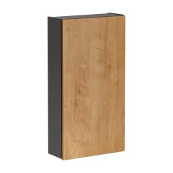 Meublorama Colonne de rangement TAMO 1 porte Coloris gris anthracite L40 x P16 x H75 cm Meuble suspendu