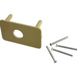 Vachette Contre-plaque 744V pour verrou V136 - ASSA ABLOY Jaune/Doré* Urinoir