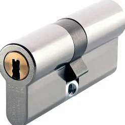 Vachette Cylindre profil européen RADIAL-R 42x42mm 3 clés - - 20987000