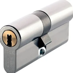 Vachette Cylindre profil européen RADIAL-R 42x42mm 3 clés - - 20987000