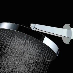 Swiss Aqua Technologies Douche de tête 1 jet ronde, diamètre 30 cm, noir/chrome (SATBSHS81)
