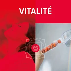 Change your life Douchette 7Chakras Shower Vitalité au Jaspe Rouge 1 jet L.22,6 x l.10,6 x H 6 cm* Pommeau De Douche, Flexible Et Barre De Douche