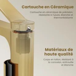 EMKE Robinet Lavabo Salle de Bain 335x233x46 mm Or Champagne, Mitigeur en Cuivre, Robinet de Cuisine , Cartouche Céramique* Robinet Lavabo Et Vasque
