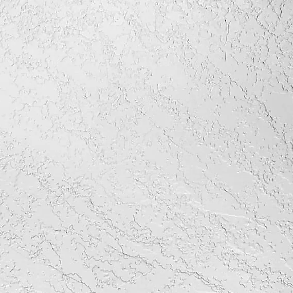 Schulte Ensemble paroi de douche à l'italienne l. 100 x H. 190 cm NewStyle et receveur de douche 80 x 100 cm, blanc et transparent,