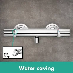Hansgrohe Ecostat Mitigeur Thermostatique douche 1001 CL (13211000)