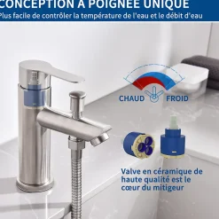 Homelody Robinet Salle de Bain Mitigeur de Douche avec Pommeau et Flexible Kit de Robinet Monotrou à Double Usage* Robinet Lavabo Et Vasque
