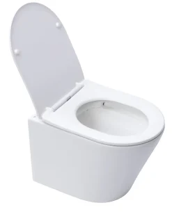 Swiss Aqua Technologies Infinitio WC suspendu sans bride fixations invisibles, Abattant frein de chute, Blanc mat SATINF010RREXPWM