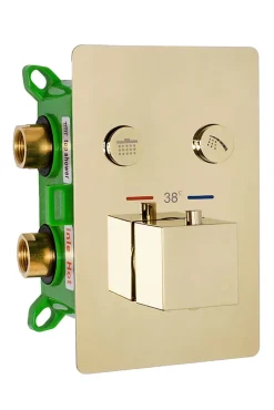 Rea Kit De Douche Encastré Fenix-Davis Thermostat Gold 55X30X40Cm + Box