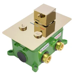 Rea Kit De Douche Encastré Fenix-Davis Thermostat Gold 55X30X40Cm + Box