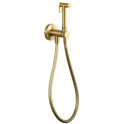Imex Kit Douchette anti-calcaire hygiénique encastrée WC ou Bidet Salle de Bain Or Brossé LINE RDD038/OC* Robinet De Bidet