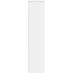 Vidaxl Meuble de salle de bain avec porte-rouleau blanc 20,5x20x90 cm* Meuble Wc