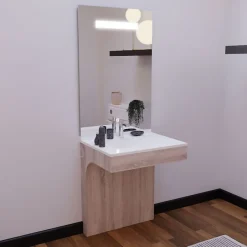 Cuisibane Meuble PMR ALTEA 70 cm avec plan vasque et miroir led ELEG Plus ht105