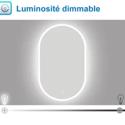 AICA Sanitaire Miroir de salle de bain ovale 60x100 cm, anti-buée + mémoire + dimmable,* Miroir Lumineux