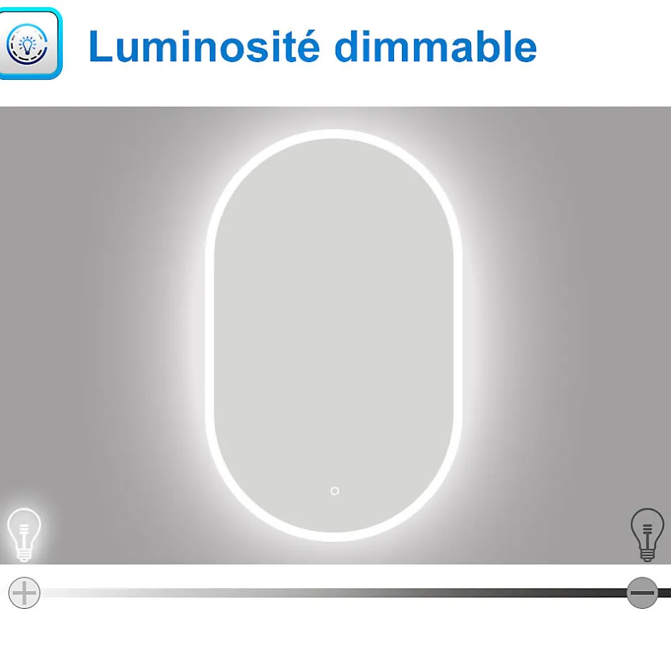 AICA Sanitaire Miroir de salle de bain ovale 60x100cm, mémoire + dimmable, IP44, 6000K blanc froid,* Miroir Lumineux