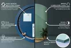 Tulup Miroir LED biseauté 63x70 cm lumière chaude 1 pc* Miroir Lumineux