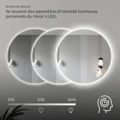 Saniland Miroir LED rond pour salle de bain de diamètre 60cm avec éclairage LED lumière froide* Miroir Lumineux