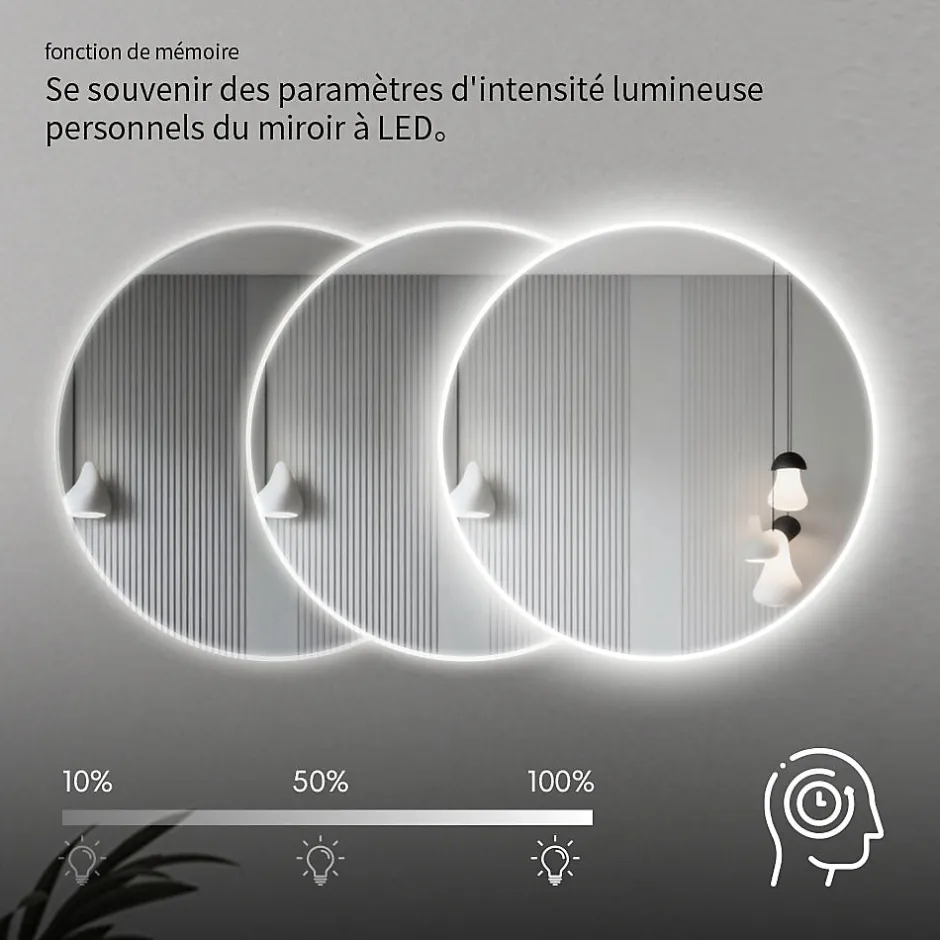Saniland Miroir LED rond pour salle de bain de diamètre 60cm avec éclairage LED lumière froide* Miroir Lumineux