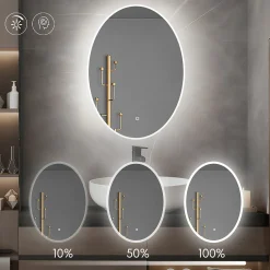 Saniland Miroir ovale LED 50x70 cm lumière dimmable 2700 6000 K, zone anti-buée et minuterie 60 min* Miroir Lumineux
