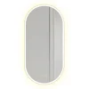 Rea MIROIR LED OVL GOLD 50X100CM 0