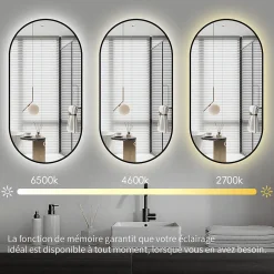 Saniland Miroir rectangle arrondi 50x100 cm lumière d'ambiance LED 2700 à 6000 K anti-buée cadre aluminium noir* Miroir Lumineux