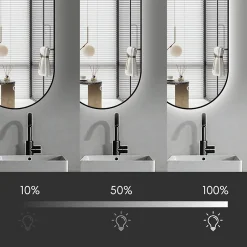 Saniland Miroir rectangle arrondi 50x100 cm lumière d'ambiance LED 2700 à 6000 K anti-buée cadre aluminium noir* Miroir Lumineux