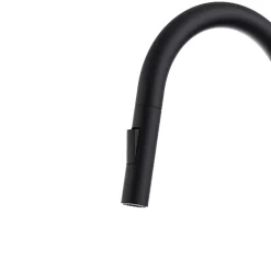 Essebagno Mitigeur de cuisine noir avec douchette Iconic