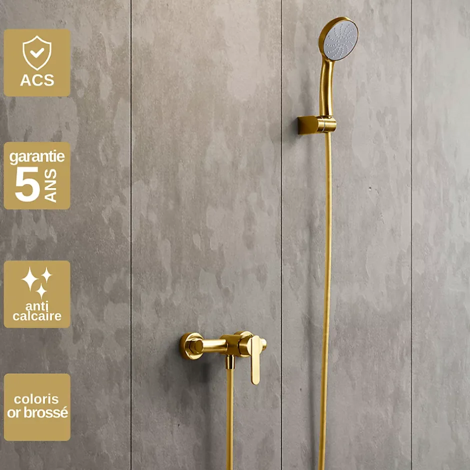 Imex Mitigeur de Douche anti-calcaire Or Brossé ROMA BDR001-5OC