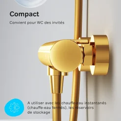 Am.Pm Europe Mitigeur de douche thermostatique Robinet salle de bain, Doré FXA40099 X-Joy AM.PM